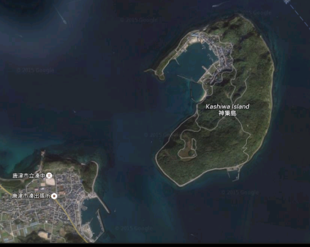 Kashiwa Island 2